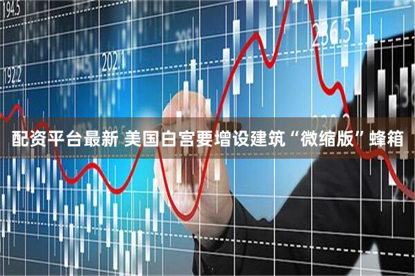 配资平台最新 美国白宫要增设建筑“微缩版”蜂箱